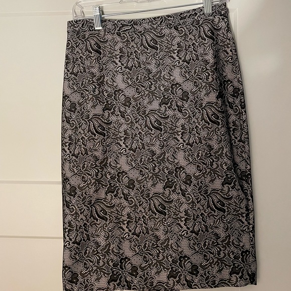 Limited Lace Skirt - Picture 1 of 2